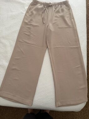 Aritzia lodge pants in beige
